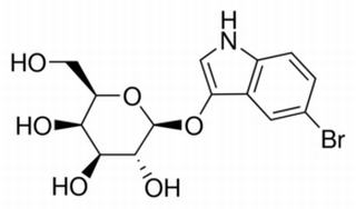 酶類(lèi)