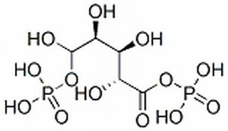 碳水化合物類(lèi)