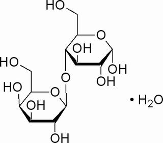 碳水化合物類(lèi)