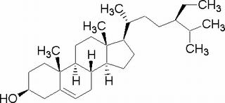 碳水化合物類(lèi)