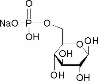 碳水化合物類(lèi)